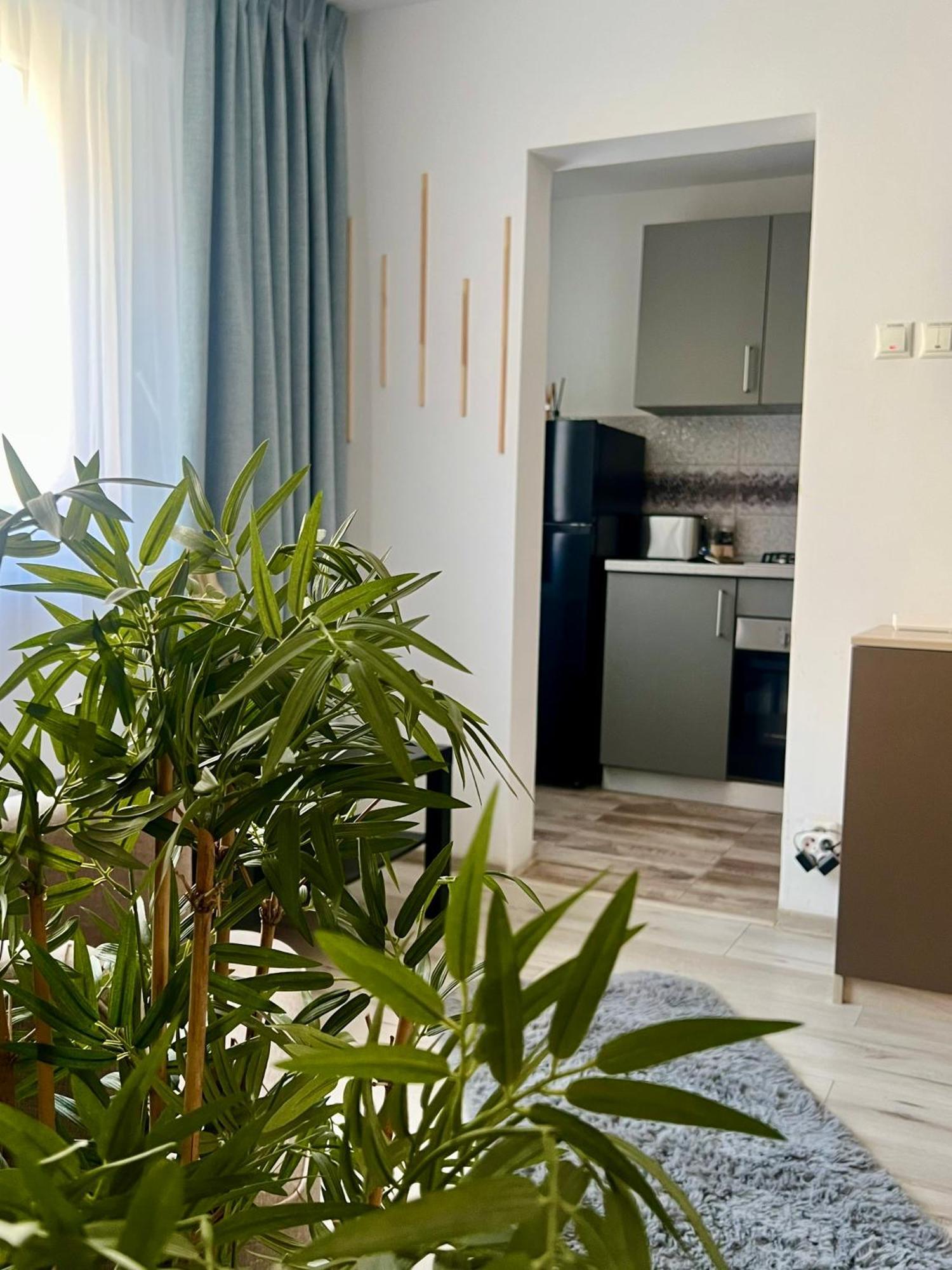 Appartement The Little House Bucarest